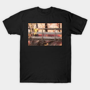 Walk in the park bridge illustration T-Shirt